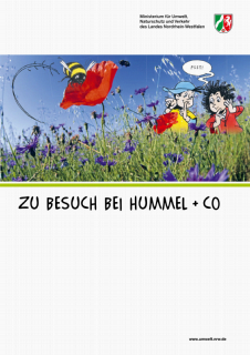Vorschaubild Diversitätsbroschüre Cover.png