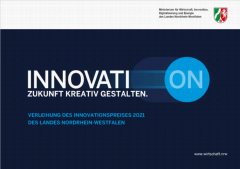 Vorschaubild Deckblatt_Innovationspreis-2021.PNG