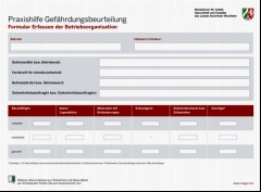 Vorschaubild Vorschaubild 1: Erfassen der Betriebsorganisation - Praxishilfe Gefährdungsbeurteilung