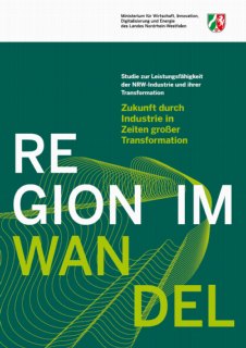 Vorschaubild Deckblatt_Region-im-Wandel.PNG