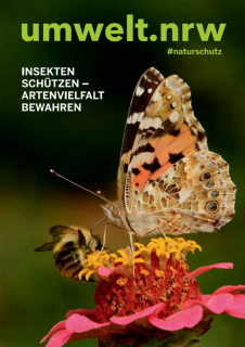 Vorschaubild cover-Insekten schützen_1.png
