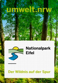 Vorschaubild Startseite Nationalpark Eifel