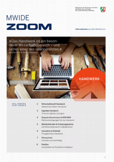 Vorschaubild MWIDE Zoom 01-2021.png