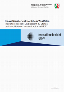 Vorschaubild Deckblatt_Innovationsbericht_2020.PNG